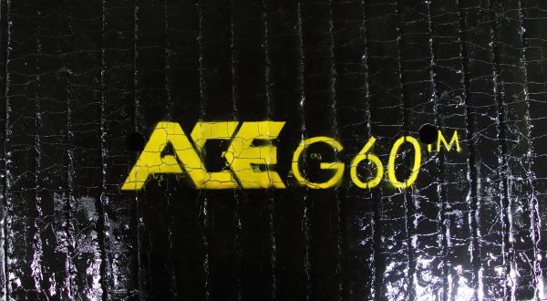 ACEg60