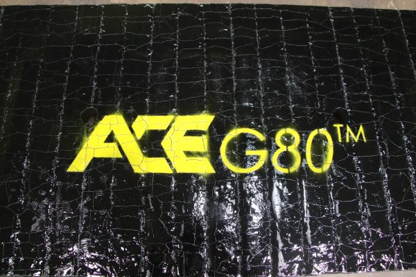 ACEg80